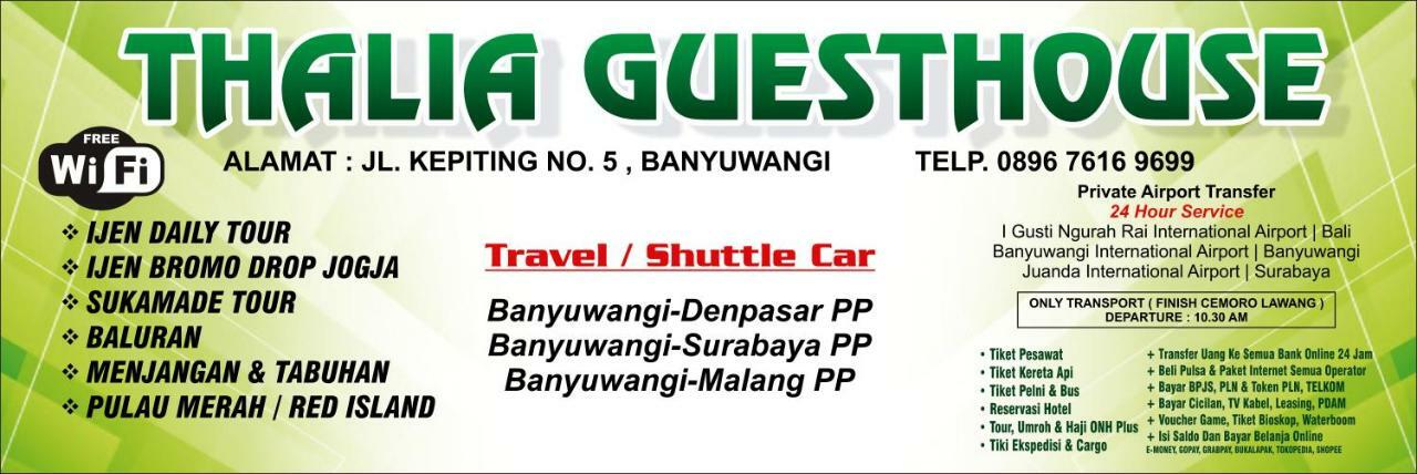 Thalia Guesthouse Ijen - Bromo & Sukamade Tour Баньюванги Экстерьер фото